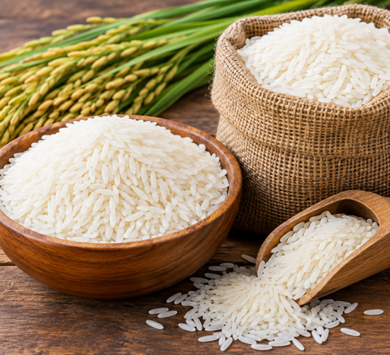Rice